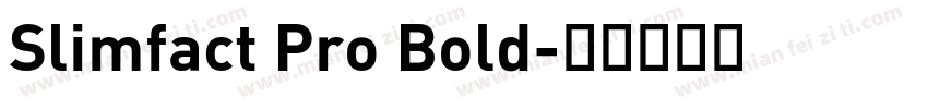 Slimfact Pro Bold字体转换